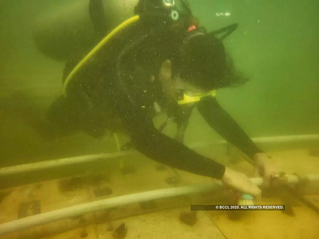 ​World Oceans Day: Divers get to the depth of coral conservation