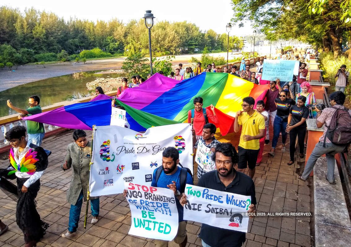 LGBTQ community hosts Pride de Goa