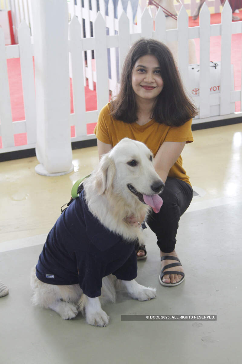 A perfect day out for pets and their parents