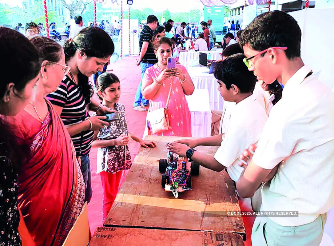 Thousands gathered to celebrate the fourth edition of NoMoZo 4.0