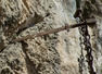 1300-year-old sword with 'magical power' goes missing from the stone it was buried in!