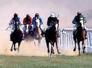 Lucknowites high on fashion and fun at these horse races