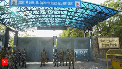 Assure accused will not go to Tihar: UK extradition authority