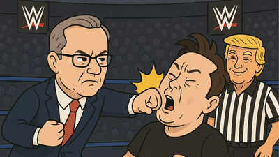 WWE in the West Wing: How Elon Musk get beaten up