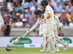 Unbelievable pictures of cricket matches interrupted by animals, birds and insects